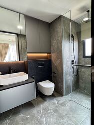 Irwell Hill Residences (D9), Apartment #639088631